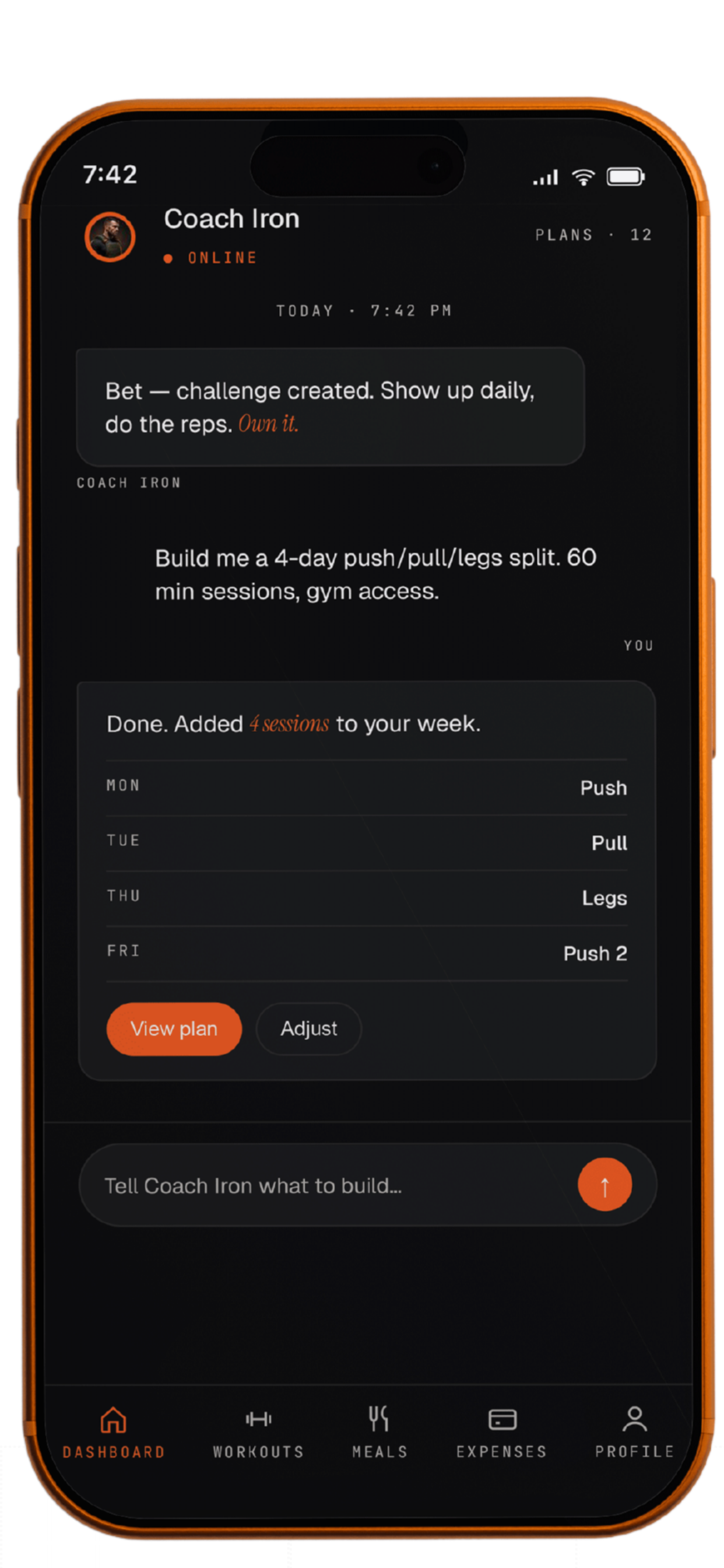 Coach Iron — AI coach conversation building a 4-day push/pull/legs split